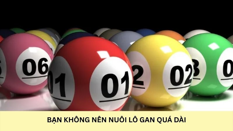 Bạn không nên nuôi lô gan thời gian dài