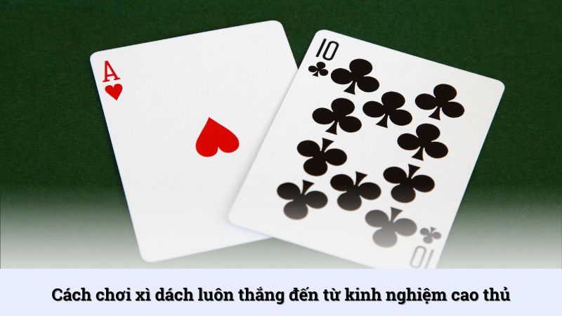 Cách chơi Xì Dách luôn thắng đến từ kinh nghiệm cao thủ