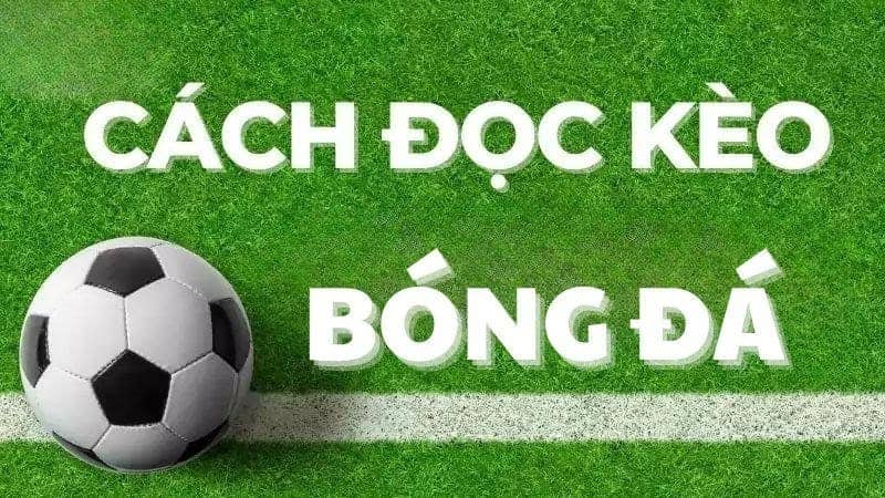Cách đọc kèo bóng đá chính xác áp dụng trong mọi trận đấu