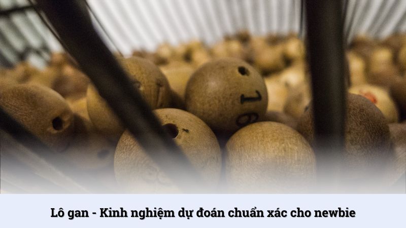 Lô gan và kinh nghiệm dự đoán chuẩn xác cho newbie