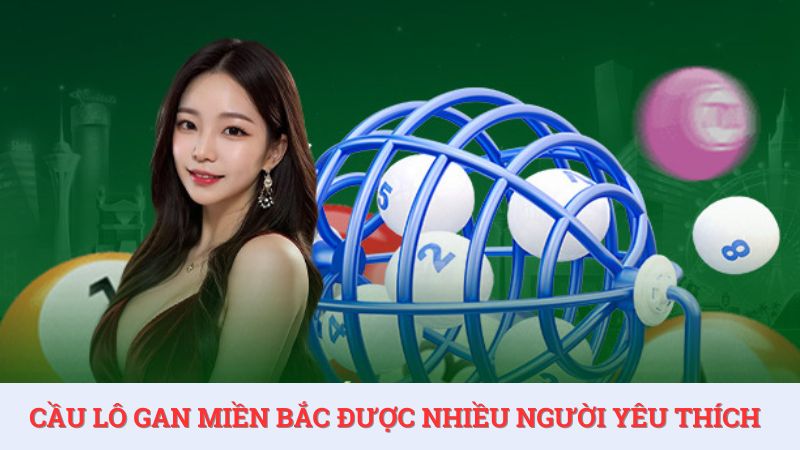 Khái niệm cầu lô gan miền Bắc