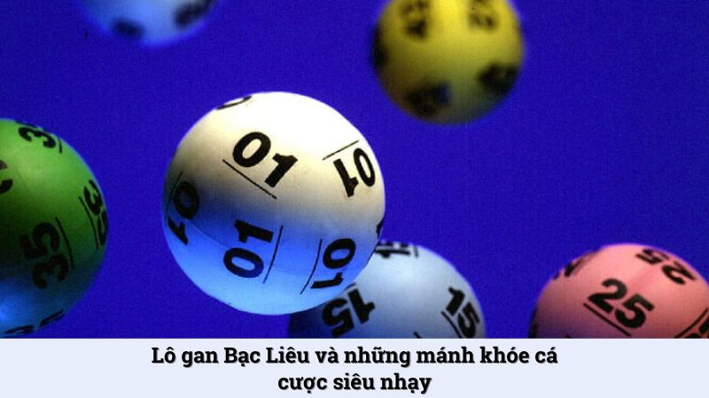 Lô gan Bạc Liêu tại LoDe88